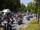_7156646;  Harley Days 2007;  Hamburg, Germany; Profile: Rowald; Upload: 2011 Apr 15; 