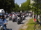 _7156648;  Harley Days 2007;  Hamburg, Germany; Profile: Rowald; Upload: 2011 Mar 31; 